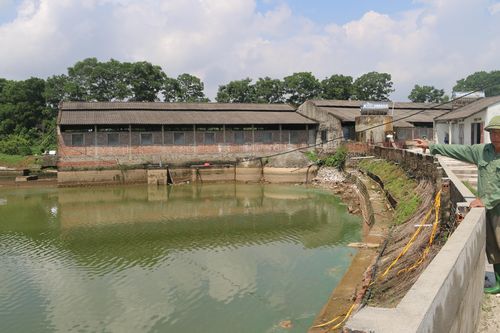 Ông Luận làm kinh tế giỏi