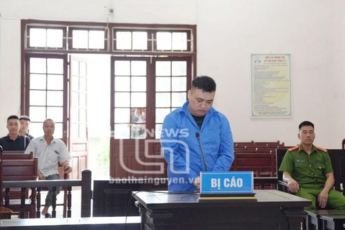 Lĩnh 14 tháng tù vì mua súng để bắn chim