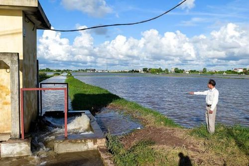 Nam Định: Chỉ đạo khẩn áp dụng mọi biện pháp tiêu úng nhanh để cứu hàng chục nghìn ha lúa mùa