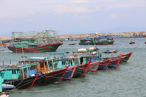 Tạm ngừng cấp phép phương tiện thủy ra khơi ở Quảng Ninh và Hải Phòng để phòng tránh bão số 2