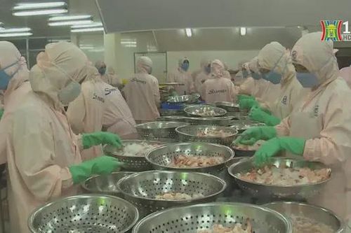 Cơ hội xuất khẩu sản phẩm Halal sang Trung Đông