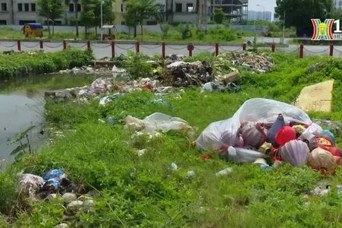 Kênh nước Đan Hoa ở Hoài Đức bị ô nhiễm