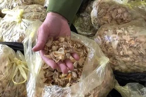 Cẩn trọng với thuốc nam giả để tránh hệ lụy thật