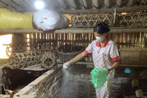 Chủ động ứng phó với thiên tai, dịch bệnh trong sản xuất nông nghiệp