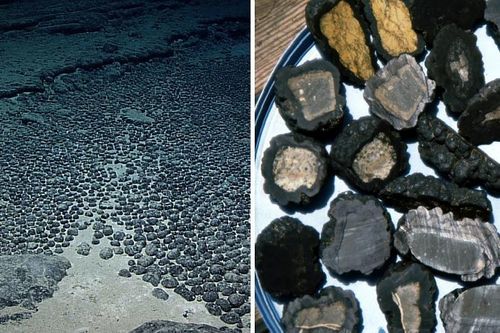 Kim loại dưới đáy biển tự sản sinh oxy ở độ sâu 4.000 m