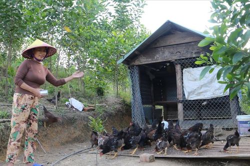 Hỗ trợ để người dân thoát nghèo