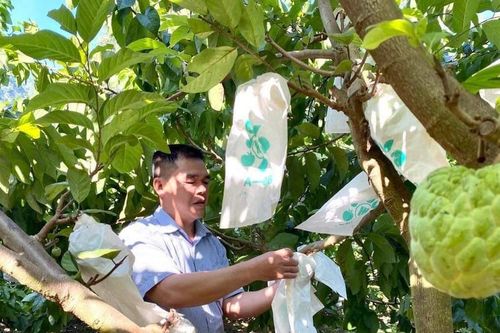 Xây dựng hợp tác xã ở Lạng Sơn