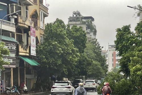 Bão số 2 gây một số thiệt hại trên địa bàn Quảng Ninh, Hải Phòng
