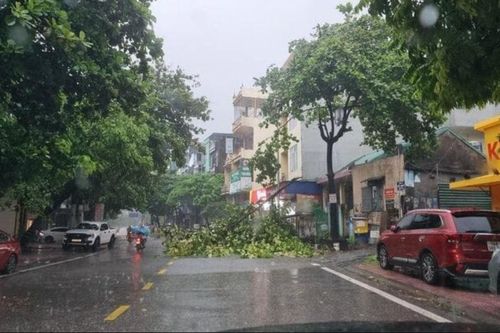 Bão Prapiroon suy yếu thành áp thấp nhiệt đới