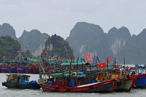 Hàng nghìn du khách đang mắc kẹt trên đảo Cát Bà, Cô Tô
