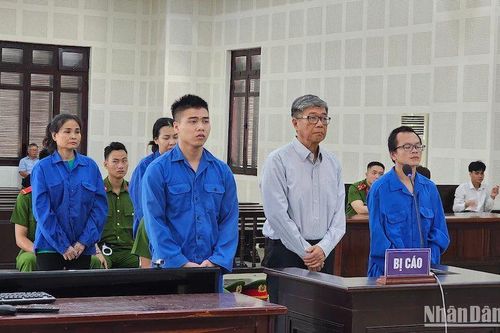 Tham ô hàng trăm tỷ đồng, nguyên thủ quỹ Trường đại học Bách khoa Đà Nẵng lĩnh án tử hình