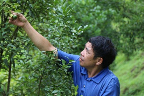 Chuyện về những lá đơn xin ra khỏi hộ nghèo