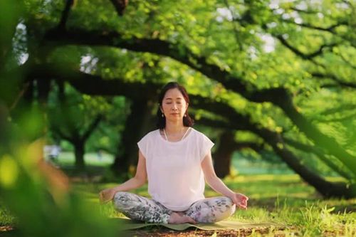 Tư thế ngồi giúp tăng tuổi thọ, giảm bệnh tật mà người Nhật hay áp dụng