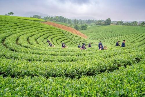 Vẻ đẹp tiềm ẩn của núi rừng và văn hóa Việt Bắc làm du khách nhớ đến Du lịch Thái Nguyên
