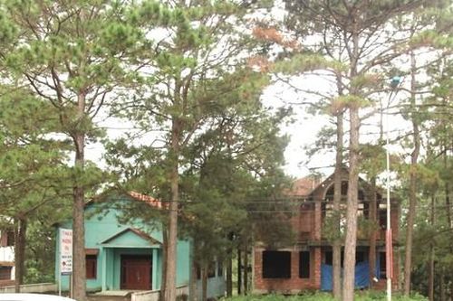 Thu hồi 39 vị trí đất xây biệt thự trái quy định ở Măng Đen