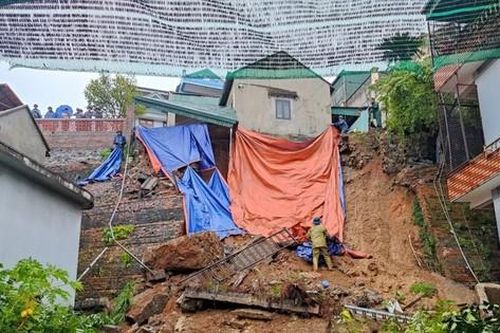 Bão số 2 đổ bộ Quảng Ninh: Hàng loạt cây xanh bị quật đổ, nhà dân sạt lở, ngập lụt