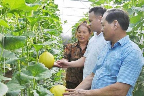 Đồng bào Công giáo Hà Tĩnh hăng say xây dựng nông thôn mới