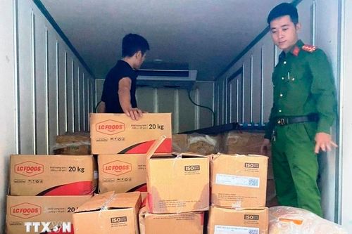 Quảng Bình: Phát hiện vụ vận chuyển gần 3 tấn nội tạng động vật nhập lậu