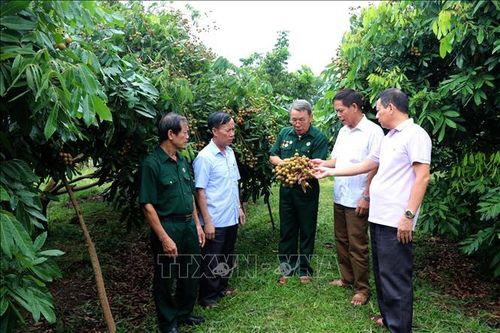 Tấm gương về ý chí và nghị lực của người thương binh già