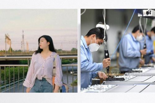 Thanh niên Trung Quốc chuyển sang làm lao động chân tay để 'chữa lành'