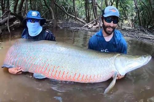 Câu được con cá hải tượng long nặng 160kg trên sông