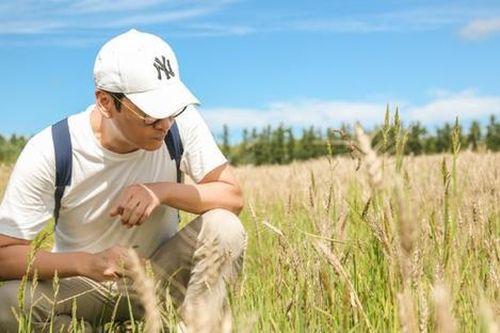 Nam diễn viên về quê trồng lúa sau ồn ào đời tư, nay sở hữu tài sản hơn 350 tỷ đồng