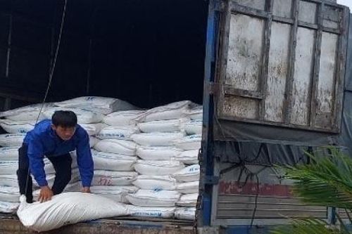 Bình Thuận: Đấu giá gần 33 tấn đường cát, giá khởi điểm hơn 700 triệu đồng