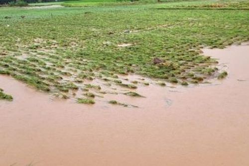 Sơn La: Mưa lớn gây thiệt hại về tài sản, nhiều tuyến đường bị sạt lở