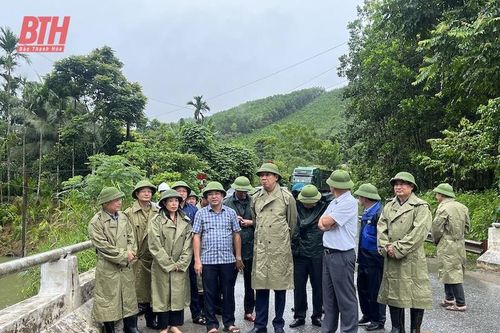 Phó Chủ tịch UBND tỉnh Lê Đức Giang kiểm tra một số công trình trọng điểm phòng, chống thiên tai