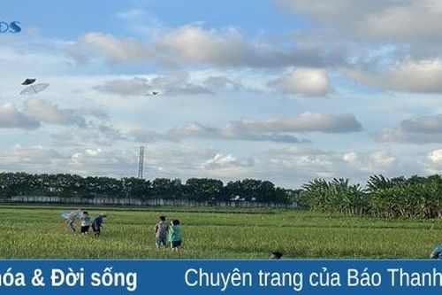 Bay cao những cánh diều
