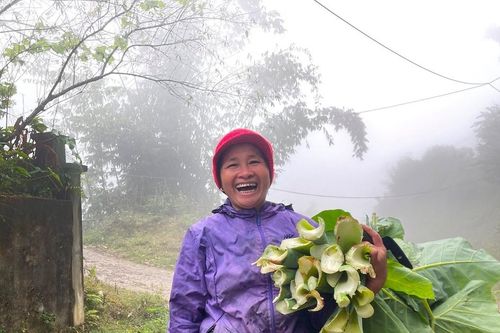 Trong mây Vân Sơn - Kỳ 1: Về thăm 'thung lũng mây'