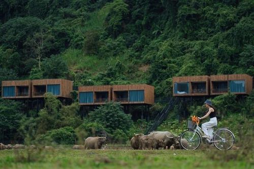 Vì sao Quảng Bình được bầu chọn là điểm đến đẹp nhất thế giới?