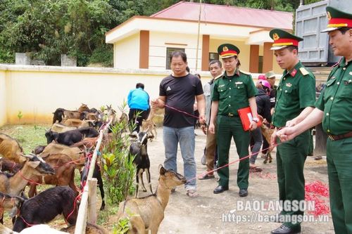 Đoàn Kinh tế - Quốc phòng 338: Chung tay hỗ trợ người dân khu vực biên giới