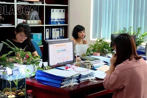 Triển khai đánh giá sự hài lòng của người nộp thuế đối với sự phục vụ của cơ quan thuế