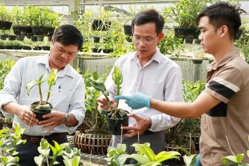 Nhân rộng các mô hình nông nghiệp ứng dụng công nghệ cao