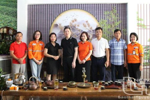 Công ty Núi Pháo góp phần quảng bá thương hiệu chè Nhật Thức