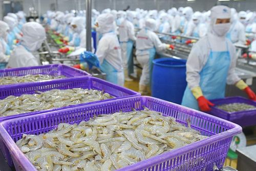 Thực phẩm Sao Ta (FMC): Doanh thu nửa đầu năm tăng 25%, dự báo nửa cuối năm tình hình 'dễ thở' hơn