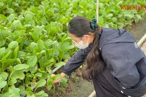 HTX đưa tư duy 'ngoài khung' vào phát triển nông nghiệp công nghệ cao