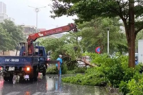 Quảng Ninh tập trung khắc phục hậu quả bão số 2
