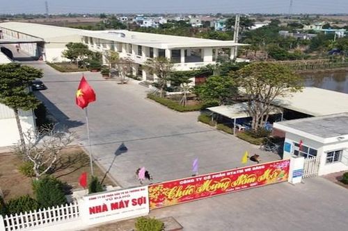 Quý II/2024: Đầu tư và Thương mại Vũ Đăng (SVD) công bố có lãi sau 6 Quý liên tiếp thua lỗ