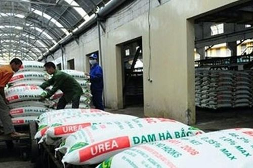 Đạm Hà Bắc lỗ 137 tỷ sau 2 quý lãi nhờ xóa nợ