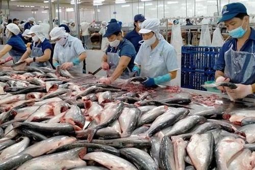 Giá vốn hàng bán tăng chậm, Công ty Nam Việt (ANV) báo lãi hơn 17 tỷ đồng trong quý II/2024