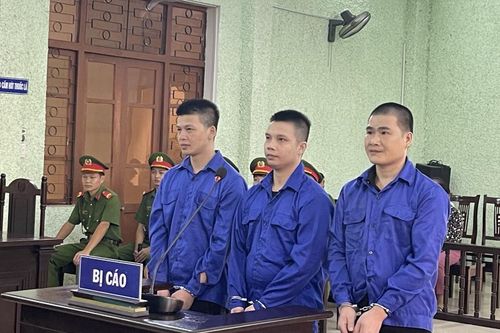 Tổ chức cho người khác nhập cảnh trái phép 3 bị cáo lĩnh 96 tháng tù giam