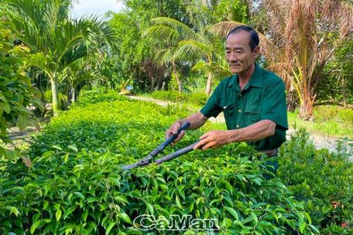 Gương mẫu bảo vệ môi trường