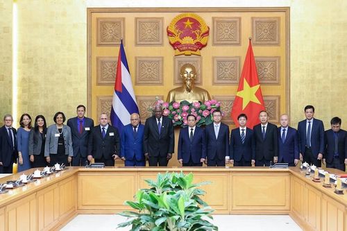 Cuba luôn đoàn kết, sát cánh đồng hành với Việt Nam