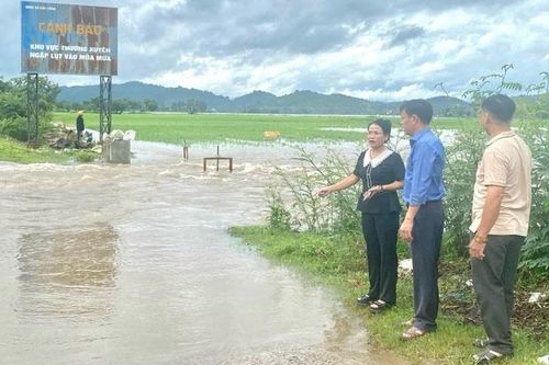 Gần 1.200ha lúa nước và hoa màu các loại ở huyện Lắk bị ngập lụt