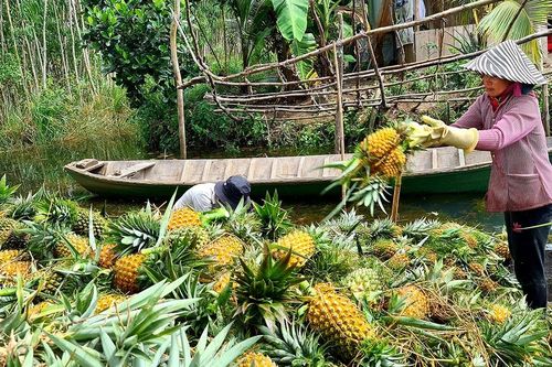 Sản xuất nông nghiệp không theo quy hoạch: Thiệt đơn, thiệt kép - Bài 3: Tăng tính pháp lý của quy hoạch