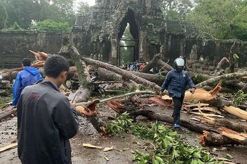 Campuchia: Mưa giông, một du khách thiệt mạng do cây cổ thụ đổ trước đền Angkor Thom