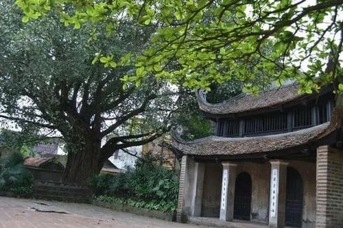 Thăm cụm di tích kiến trúc tại làng cổ Lại Đà, quê hương Tổng Bí thư Nguyễn Phú Trọng