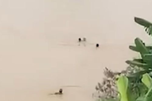 Tổ trưởng tổ trật tự thôn cứu sống 2 trẻ nhỏ giữa lũ xiết